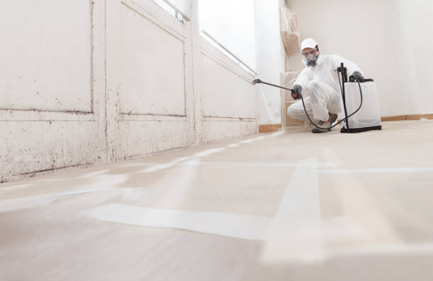 24/7 Emergency Basement Mold Remediation experts in Columbus, TX