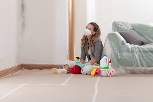 Reliable Basement Mold Remediation contractor in Columbus, TX by WQB Mold Removal